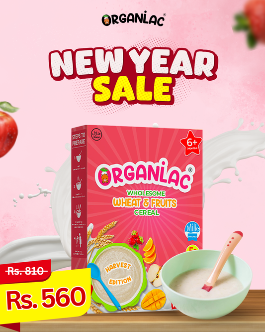 Wholesome Wheat & Fruits Cereal