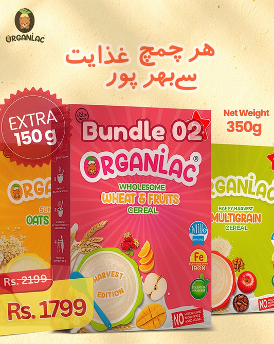 Bundle 02